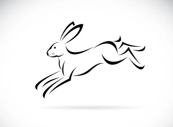 白色背景下兔子跑设计的载体 易于编辑的分层矢量图解 野生动物 — 图库矢量图片