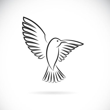 Beyaz arka planda kuş tasarımı vektörü. Kolay düzenlenebilir vektör çizimi. Vahşi Hayvanlar.