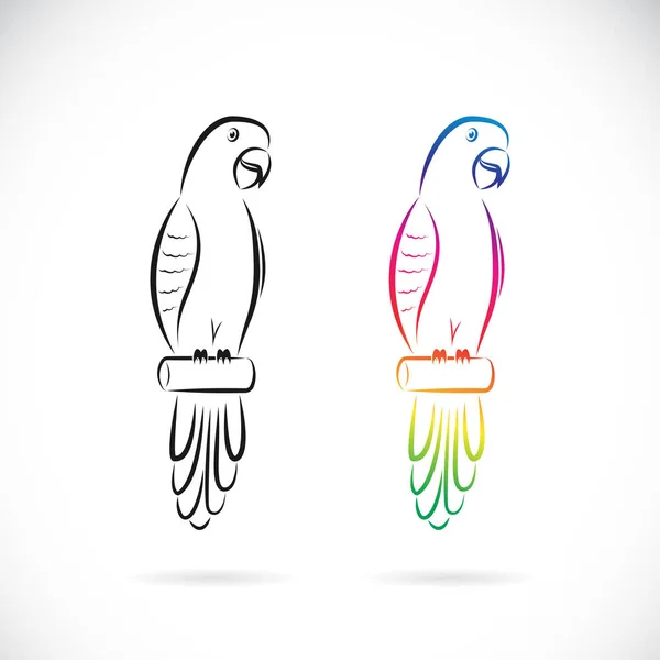 Vecteur Deux Motifs Perroquet Sur Fond Blanc Illustration Vectorielle Couches — Image vectorielle