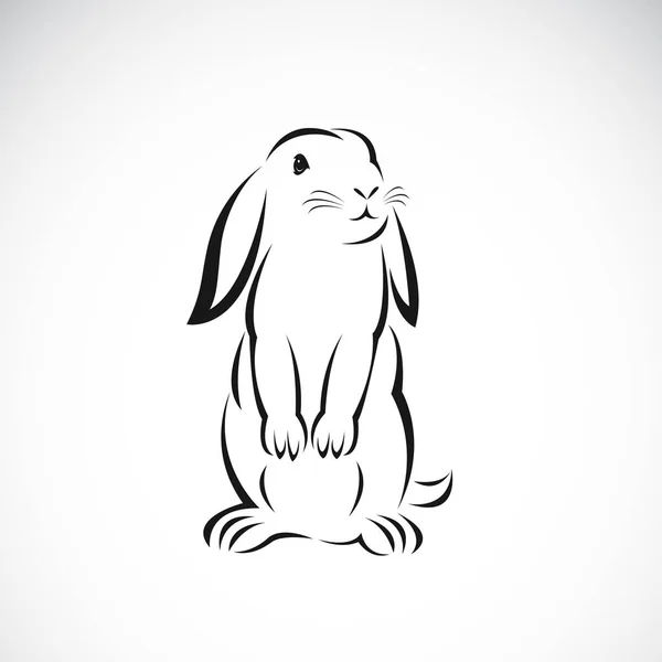 Vettore Disegno Coniglio Sfondo Bianco Facile Illustrazione Vettoriale Stratificata Modificabile — Vettoriale Stock