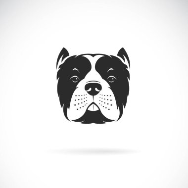 Beyaz arka planda köpek pitbull kafası tasarımı taşıyıcısı. Evcil hayvan. Hayvanlar. Kolay düzenlenebilir vektör illüstrasyonu.