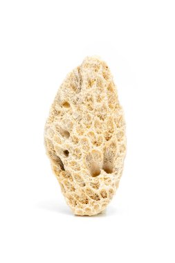 Image of coral cubes on a white background. Undersea Animals.