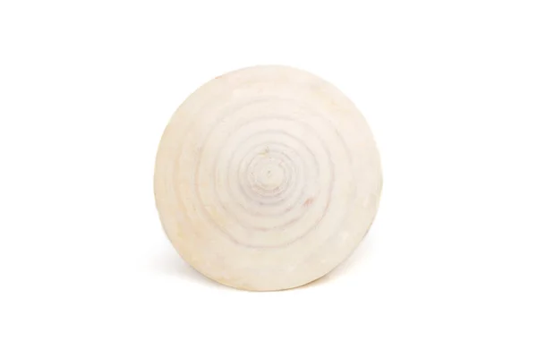 Image Spiral Seashells White Background Undersea Animals Sea Shells — Stockfoto