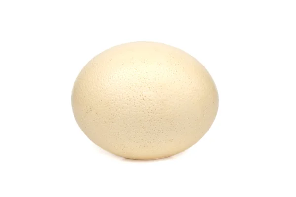 Image Ostrich Egg Isolated White Background — Zdjęcie stockowe