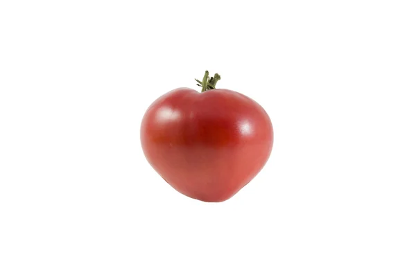 Één tomaat — Stockfoto