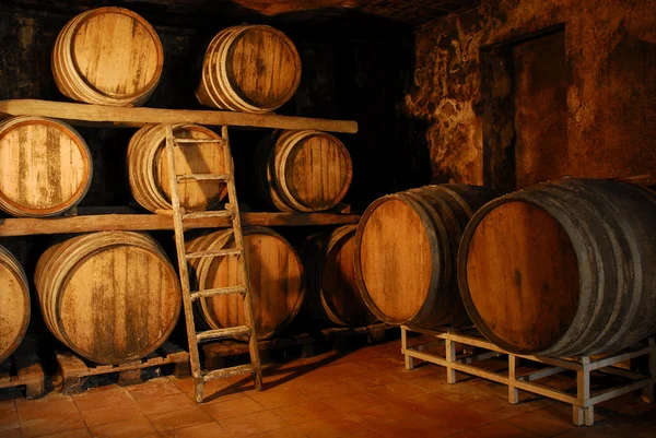 Barricas de vino . — Foto de Stock