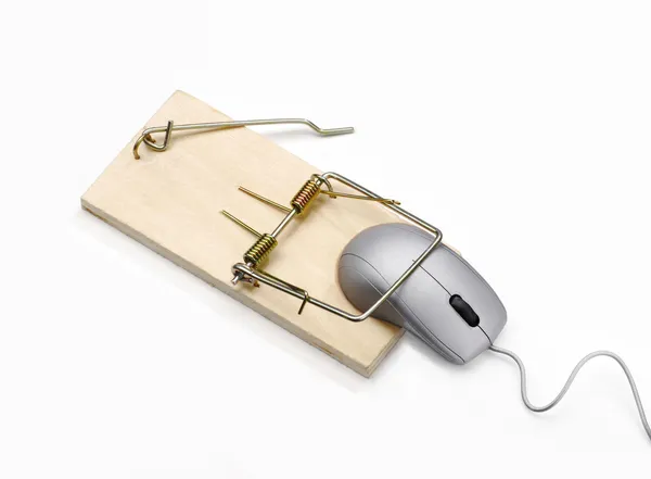Grijze muis gevangen op muis val. — Stockfoto