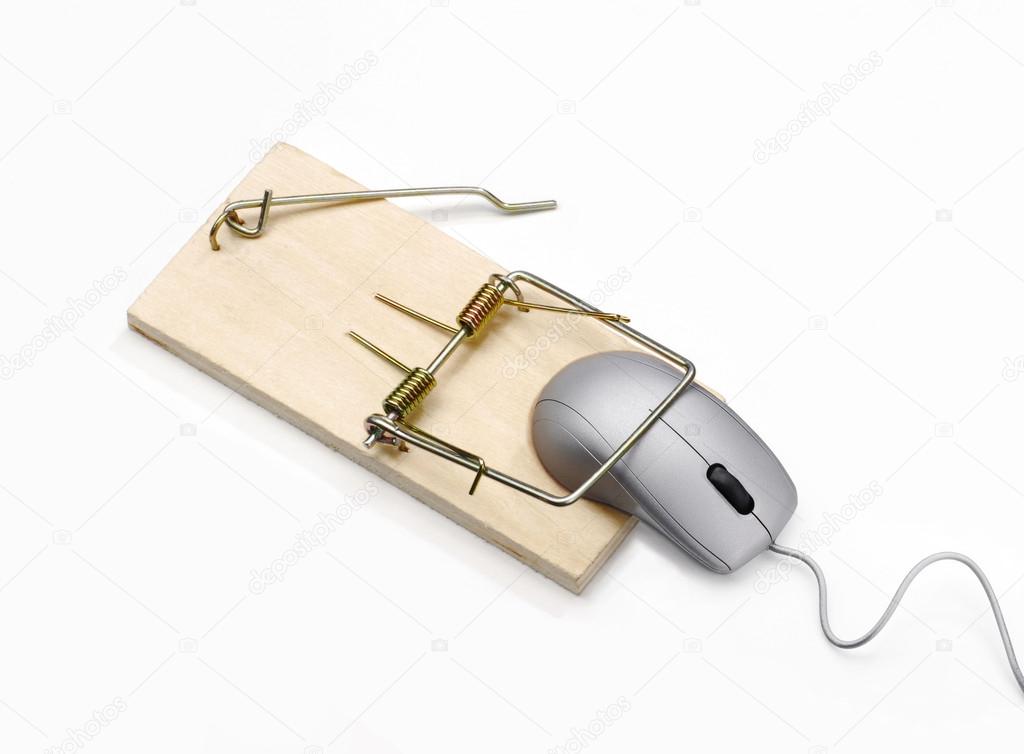 Grey mouse trapped on mouse trap.