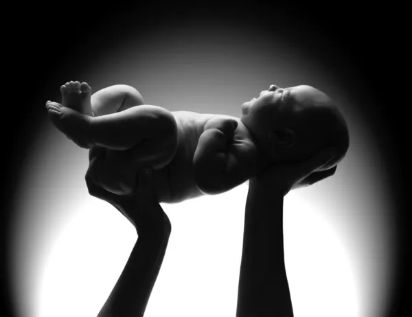 Mothers hands holding a newborn baby. — Stock Photo, Image