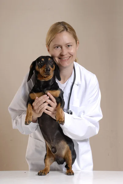 Mujer veterinaria . —  Fotos de Stock