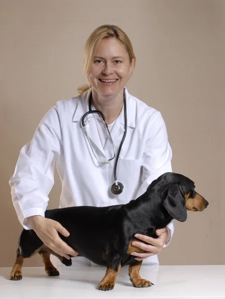 Woman veterinary. — Stock Photo, Image