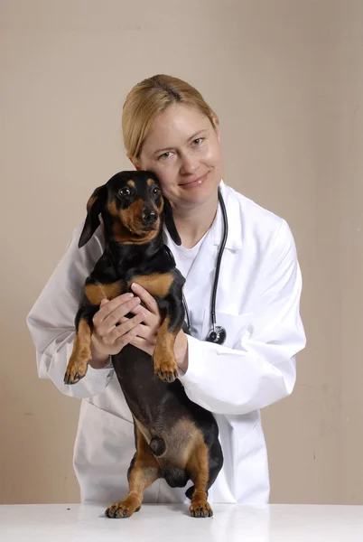 Woman veterinary. — Stock Photo, Image