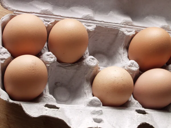 Egg carton detail. — Stock Photo, Image