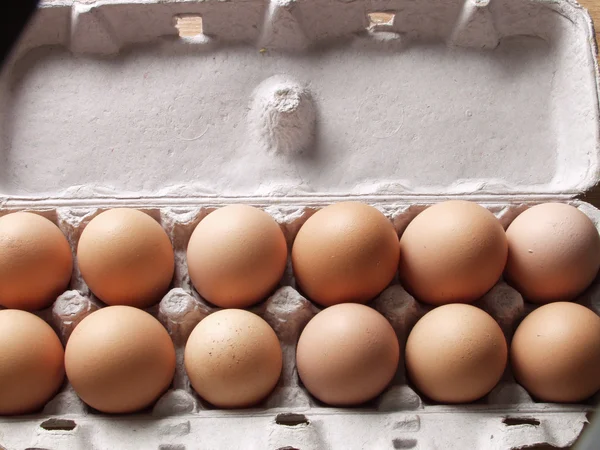 Egg carton detail. — Stock Photo, Image