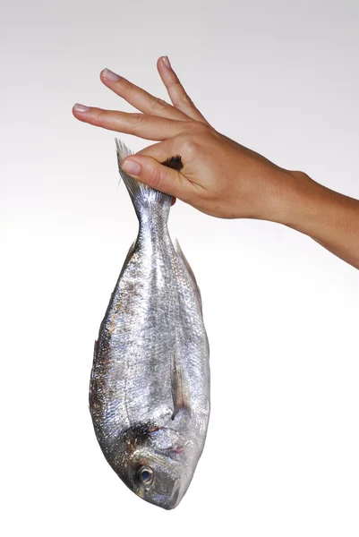 Holding a fish. — Stock Photo, Image