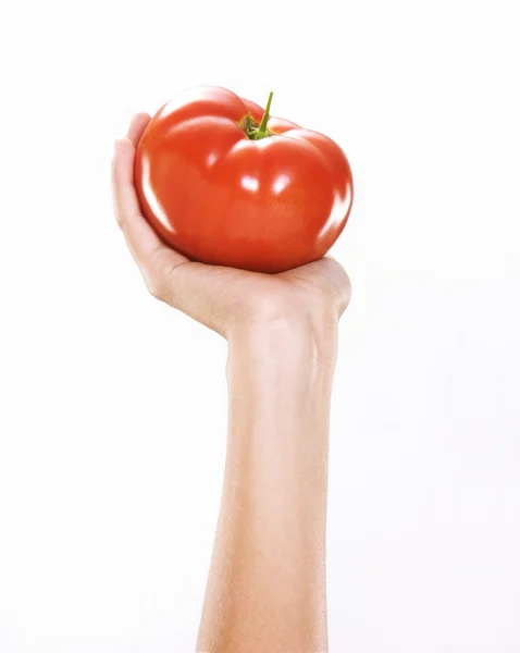 Mão feminina segurando um tomate fresco — Fotografia de Stock