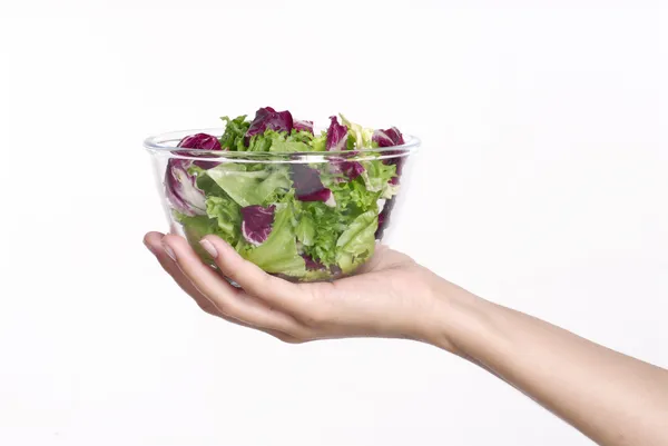 Female hand holding a vegetable salad bowl — Stock Photo, Image