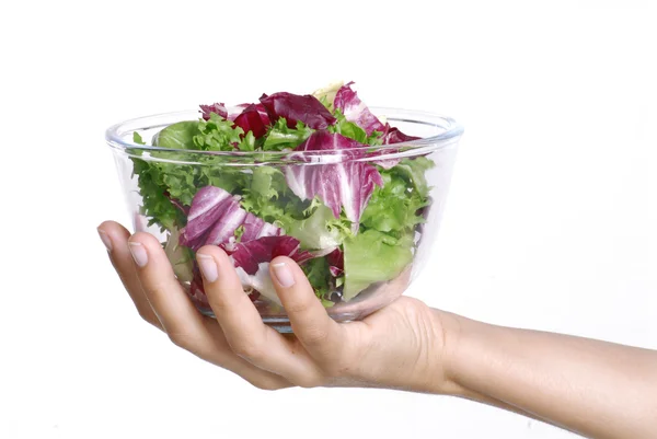 Female hand holding a vegetable salad bowl — Stock Photo, Image