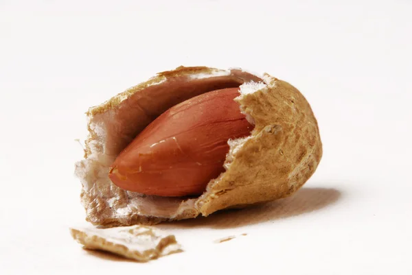 Amendoim de nozes com a casca isolada em um fundo branco — Fotografia de Stock