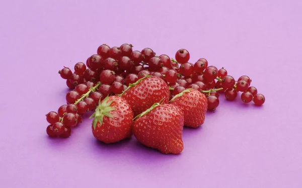 Composition des framboises mûres — Photo