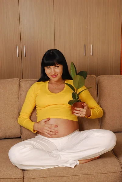 Mujer embarazada joven sosteniendo una planta — Foto de Stock