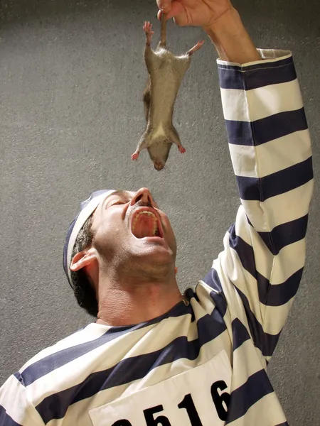 Prisoner eating a rat on a prison cell. — Stock Photo, Image