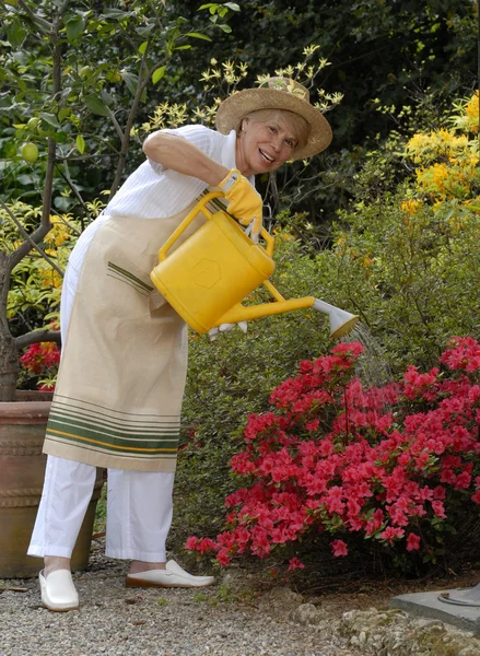 Jardinería de mujer adulta media.Plantas de riego . — Foto de Stock