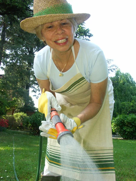年年中成年女性 gardening.watering 植物. — 图库照片