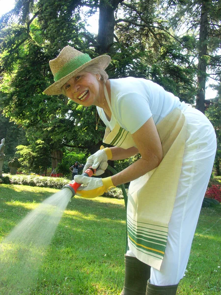 Moyenne femme adulte jardin.Arrosage des plantes . — Photo