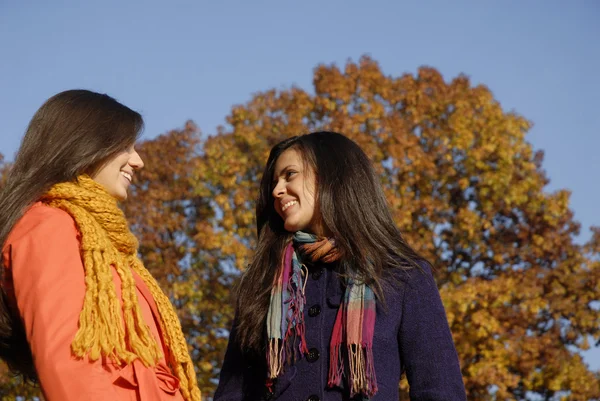 Al aire libre otoño mujeres jóvenes disfrutando de un día de cielo azul . —  Fotos de Stock