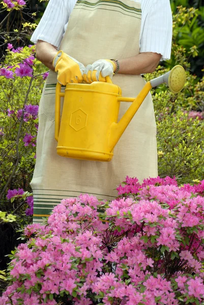 Jardinería de mujer adulta mediana — Foto de Stock