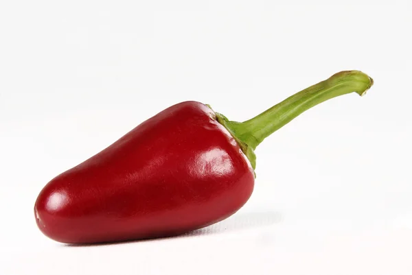 Warme rode chili pepers peper op witte achtergrond — Stockfoto