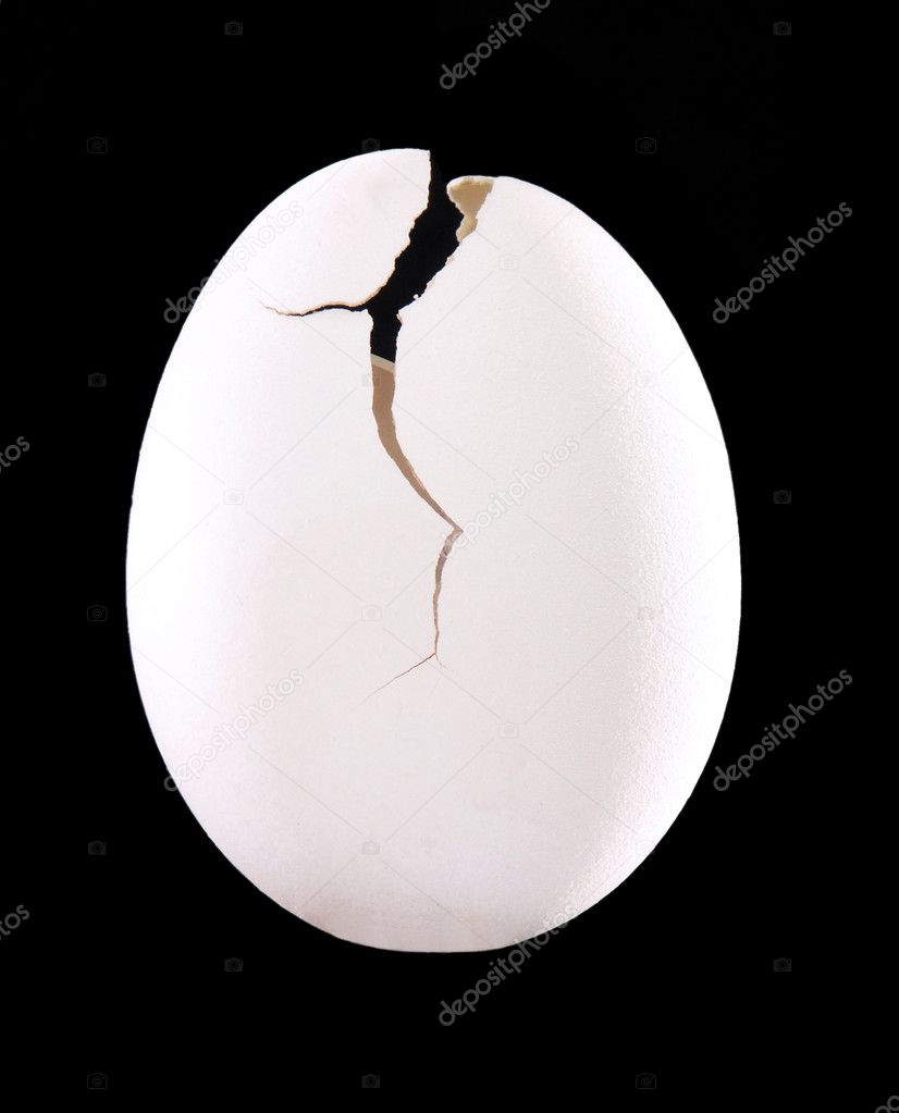 White shell egg on black background