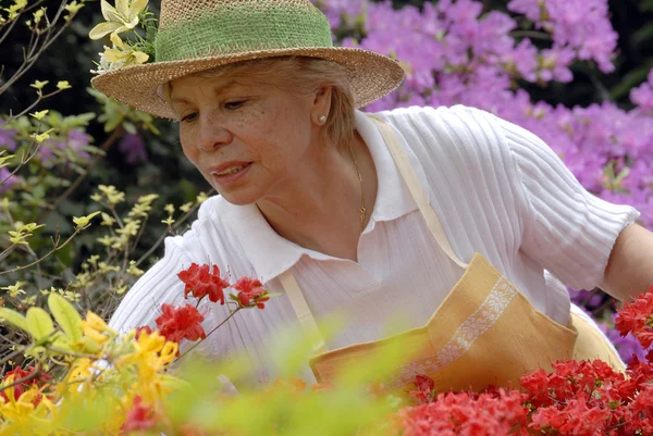 Mid volwassen vrouw tuinieren. — Stockfoto
