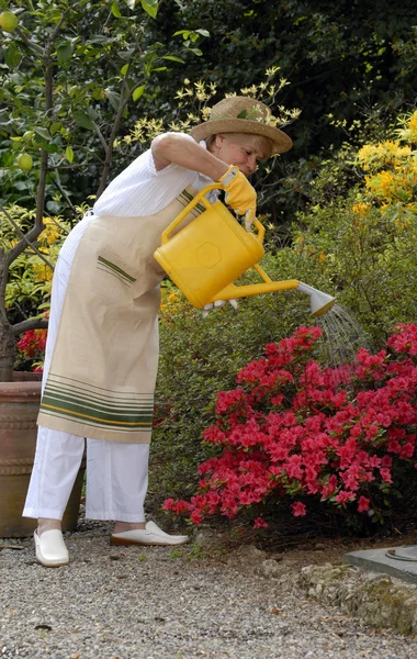 Střední dospělé ženy, zahradnictví. — Stock fotografie