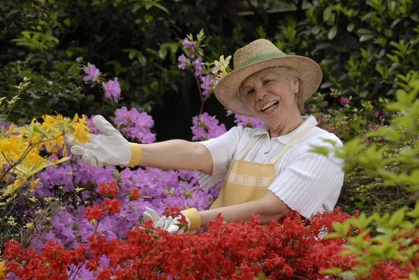 Média mulher adulta jardinagem . — Fotografia de Stock