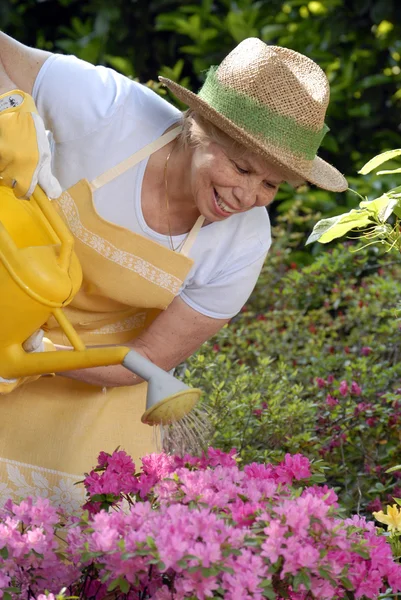 Moyenne femme adulte jardin.Arrosage des plantes . — Photo