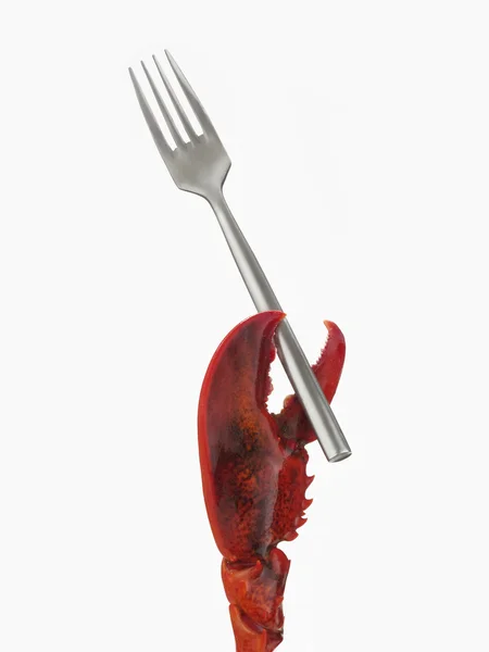 Lobster leg holding a fork. — Stock Photo, Image