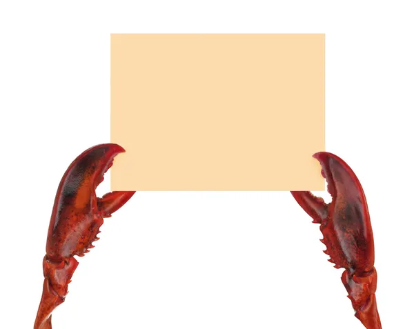 Pernas de lagosta segurando um painel amarelo.Garras de caranguejo, garras de lagosta segurando um painel . — Fotografia de Stock