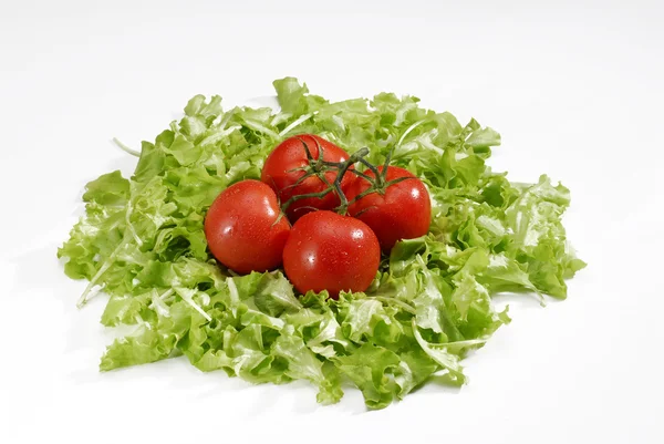 Grupo de tomates sobre lecho de lechuga. Tomates frescos y lechuga . —  Fotos de Stock