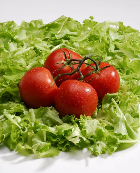 Grupp av tomater på sallad säng. färska tomater och sallat. — Stockfoto