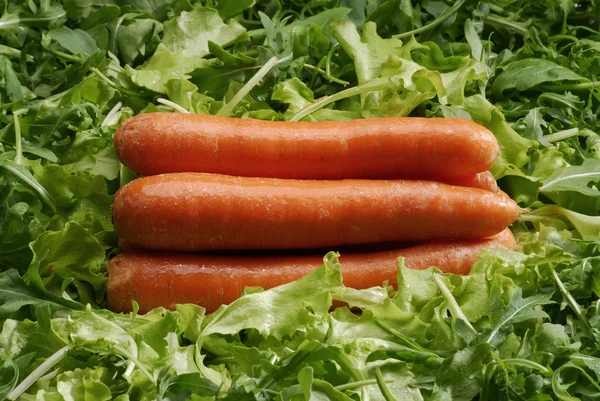 Möhren auf dem Salatbeet. frische Möhren und Salat. — Stockfoto