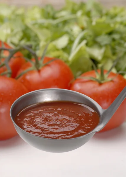 Colher de creme de tomate e tigela — Fotografia de Stock
