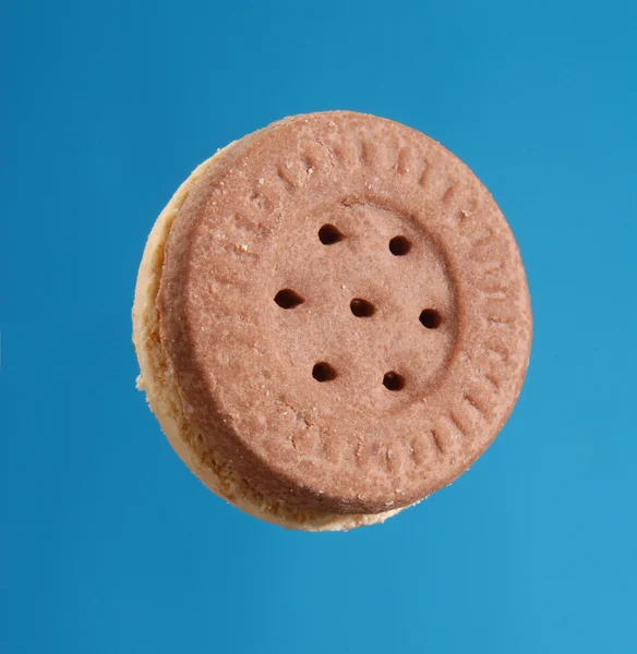 Chocolate cookie isolated on blue background.Homemade cookie. — Stock Photo, Image