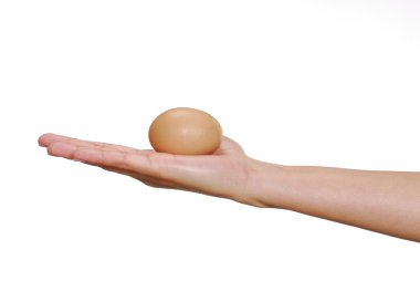 taze yumurta tutan el.