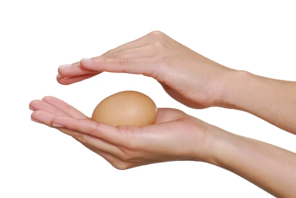 Female hand holding a fresh egg. — Stock Photo, Image