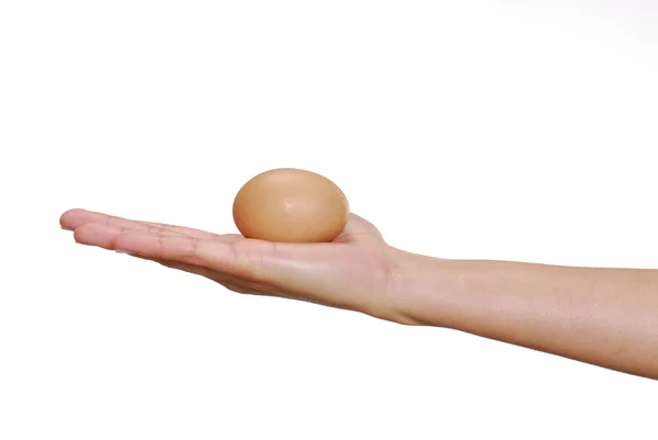 Жіноча рука тримає свіже яйце . — стокове фото