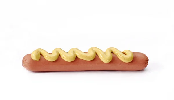 Een hotdog — Stockfoto