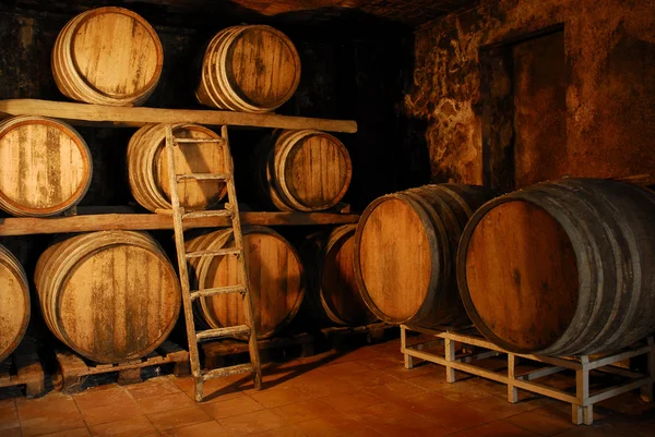 Dettaglio di una camera di botti di fermentazione vino . — Foto Stock