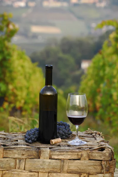 Cambada de cesto de uvas e garrafa de vinho tinto em ambiente de vinha . — Fotografia de Stock